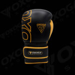 Boxing Gloves OS-OX-1101 - Image 2